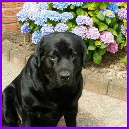 Baco van Bianca en Hendri