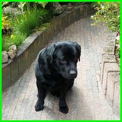 Baca bij ons in de tuin