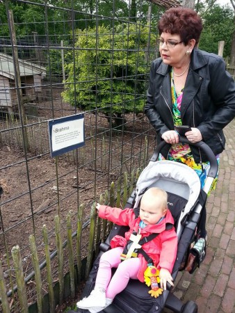 kinderboerderij staphorst